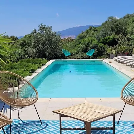 Olmeccia Piscine 14 M, Clim, Plein Sud Villa *