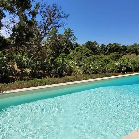 Olmeccia Piscine 14 M, Clim, Plein Sud וילה