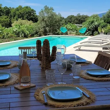 Olmeccia Piscine 14 M, Clim, Plein Sud * פורטו-וישיו