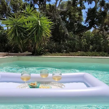 Olmeccia Piscine 14 M, Clim, Plein Sud Villa Porto-Vecchio (Corsica)